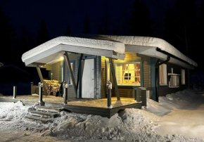 Chalet Pellonranta 1